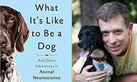 Book: What it's like to be a dog